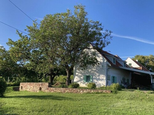 Bild 1 - Balaton Panoramagrundstück mit 2 Häusern Weinkeller