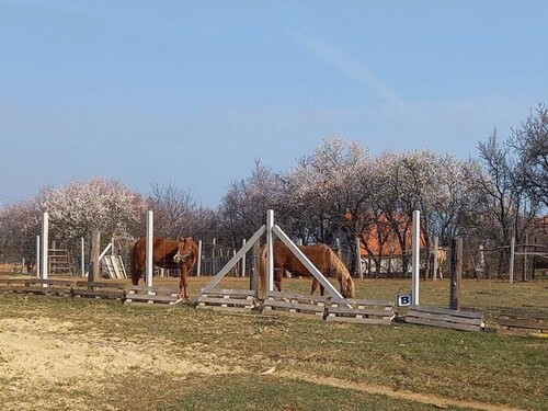 Bild 1 - Traumhaftes Panorama-Anwesen am Balaton