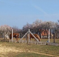 Traumhaftes Panorama-Anwesen am Balaton - Balatonalmádi Traumhaftes Panorama-Anwesen am Balaton - Balatonalmádi