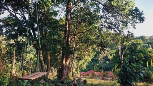 Bild 1 - Grundstück 1000 m2 in Mulungu CE in den Bergen Brasiliens
