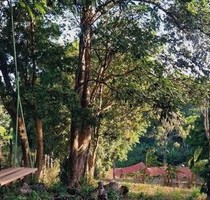 Grundstück 1000 m2 in Mulungu CE in den Bergen Brasiliens - Sitio Couros Grundstück 1000 m2 in Mulungu CE in den Bergen Brasiliens - Sitio Couros