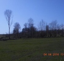 Baugrundstück in Tschechien nahe deutscher Grenze - Chudenin