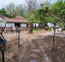 Im Komitat Bács-kiskun ein 34 fertiges 56 m2 Bauernhaus mi - Szabadszállás