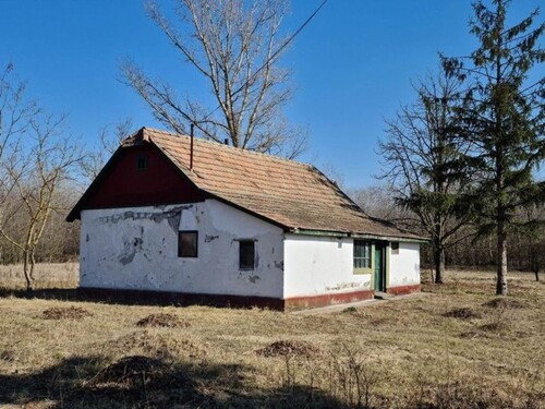 Bild 1 - Im Komitat Csongrád ein geplegtes 75 m2 Bauernhaus mit 6000