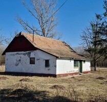 Im Komitat Csongrád ein geplegtes 75 m2 Bauernhaus mit 6000 - Ásotthalom