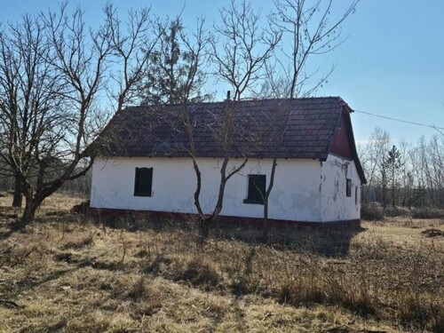 Bild 2 - 2 Zimmer Einfamilienhaus zum Kaufen in Ásotthalom