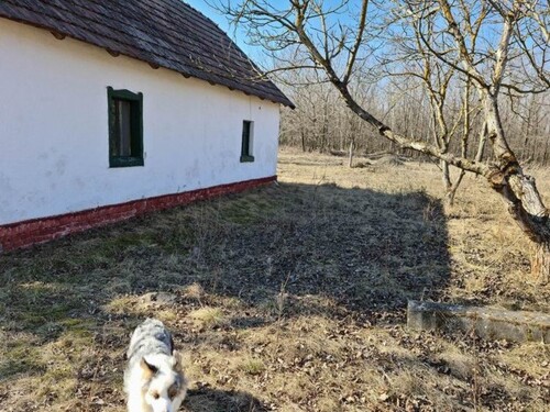 Bild 3 - 2 Zimmer Einfamilienhaus in Ásotthalom