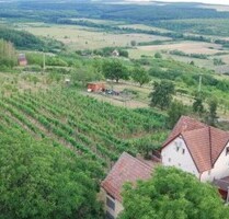 Selbstversorgender Bauernhof zu verkaufen - Egerbakta