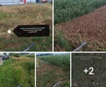 Bild 1 - Ackerbaubetrieb 1450 ha Kreis Calarasi