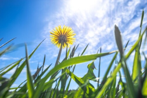 Bild 1 - Bauernhof mit Wohnhaus - 275.000,00&nbsp;EUR Kaufpreis, ca.&nbsp; 400,00&nbsp;m&sup2;&nbsp;Wohnfl&auml;che