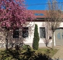Exklusives Einfamilienhaus im Zentrum von Baja Donau Exklusives Einfamilienhaus im Zentrum von Baja Donau