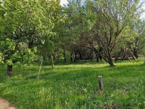 Bild 4 - Einfamilienhaus mit 103,00 m&sup2; in BALATONALMÁDI zum Kaufen