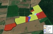 Bild 1 - Landwirtschaftlicher Betrieb mit Walnussplantage 74ha