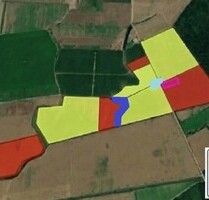 Landwirtschaftlicher Betrieb mit Walnussplantage 74ha - Bucesti