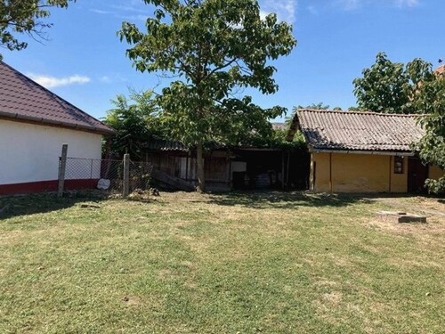 Bild 1 - Familienhaus mit gepflegtem Garten am Theiß-See