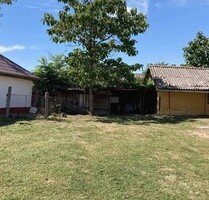 Familienhaus mit gepflegtem Garten am Theiß-See - Poroszló