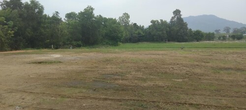 Bild 2 - Grundstück zum Kaufen in T.Tapong