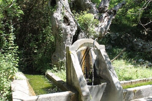 Bild 1 - Ruinen Haus 50m2 Grundstück 1600m2 Meer 5km