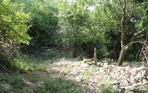 Bild 4 - Einfamilienhaus mit 50,00 m² in Kreis Ulcinj zum Kaufen