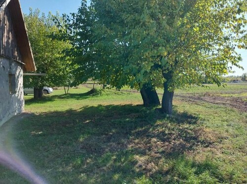 Bild 1 - 2 freistehende Tanyas in Ungarn