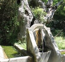 Ruine haus 50qm auf dem Grundstück 1400qm - Gemeinde Ulcinj