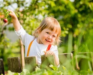 Campingplatz in der Eifel - 1.450.000,00 EUR Kaufpreis, ca.  1,00 m² Gewerbefläche in Pruem (PLZ: 54595)