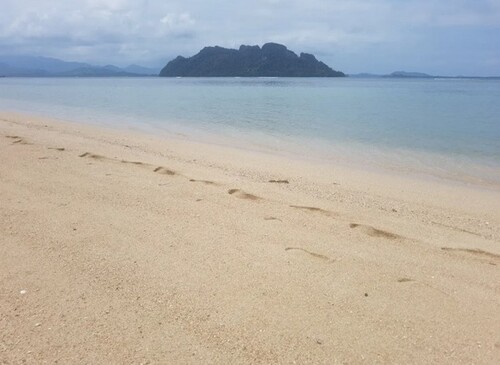 Bild 2 - Grundstück zum Kaufen in Palawan