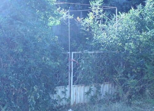 Bild 3 - 1 Zimmer Einfamilienhaus in Bar-Utjeha