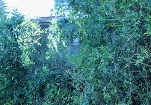 Bild 4 - Einfamilienhaus mit 55,00 m² in Bar-Utjeha zum Kaufen