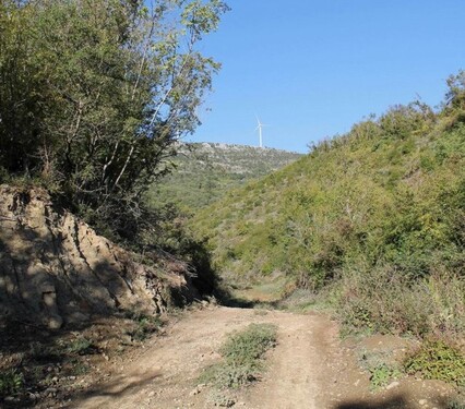 Bild 1 - Grundstück in der Wald 7000 m2 - 19.000,00 EUR Kaufpreis,