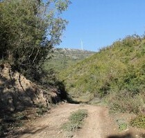 Grundstück in der Wald 7000 m2 - 19.000,00 EUR Kaufpreis, in Ulcinj (PLZ: 85360)