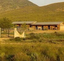 Ländlich gelegener Pferdehof mit grossem Grundstück - La Paca (Murcia)