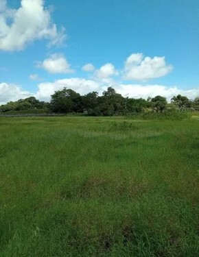 Bild 2 - 1 Zimmer Einfamilienhaus zum Kaufen in Pracuuba