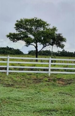 Bild 4 - Einfamilienhaus in Pracuuba zum Kaufen