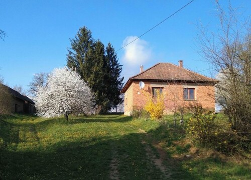 Bild 1 - Haus in Alleinlage in Zala mit Aronia Plantage