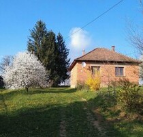 Haus in Alleinlage in Zala mit Aronia Plantage - Szilvágy