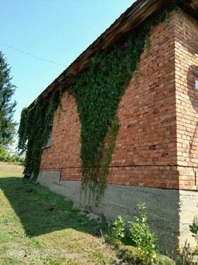 Bild 3 - 3 Zimmer Einfamilienhaus in Szilvágy