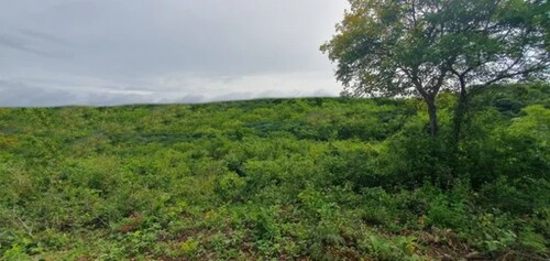 Bild 2 - 1 Zimmer Einfamilienhaus zum Kaufen in Silves