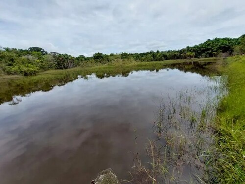 Bild 4 - Einfamilienhaus in Silves zum Kaufen