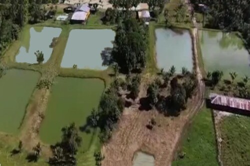 Bild 1 - Grosse Eierfabrik 40 Ha Fischzucht Früchteplantage