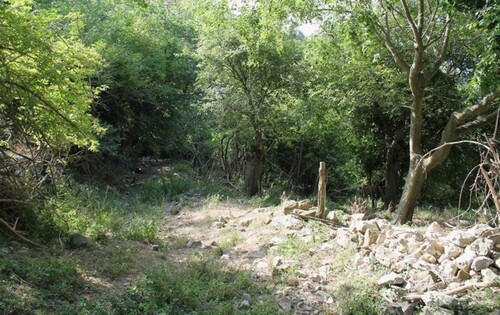 Bild 3 - Grundstück in Gemeinde Ulcinj