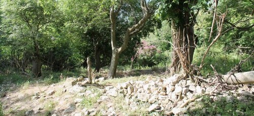 Bild 4 - Grundstück in Gemeinde Ulcinj zum Kaufen