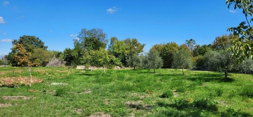 Bild 3 - Grundstück in Barban