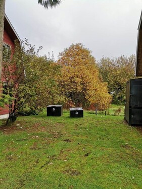 Bild 3 - 9 Zimmer Einfamilienhaus in Puyuhuapi
