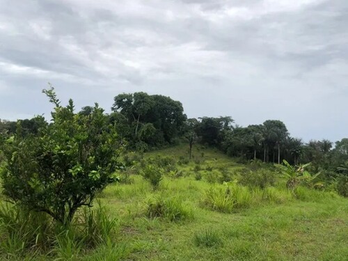 Bild 2 - Grundstück zum Kaufen in Rio Preto da Eva