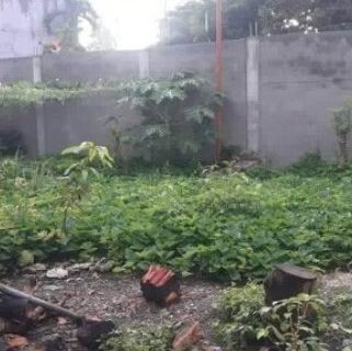 Bild 1 - Grundstück mit Mauer und Tor nahe Stadtzentrum