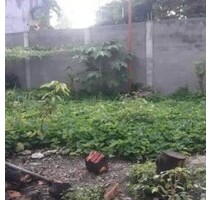 Grundstück mit Mauer und Tor nahe Stadtzentrum - Tagbilaran city