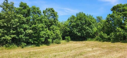 Bild 3 - Grundstück in Rabac