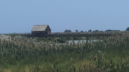 Bild 3 - 1 Zimmer Einfamilienhaus in Camping lido Romagna SP5 71043 Manfredon