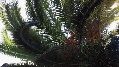 Bild 2 - Grundstück zum Kaufen in Koroni